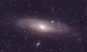 M31