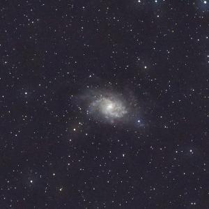 M33